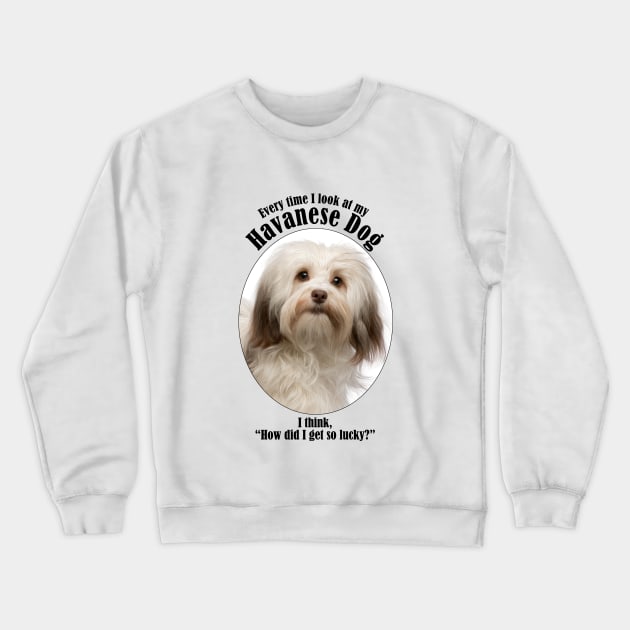 Havanese Dog Traits Crewneck Sweatshirt by You Had Me At Woof